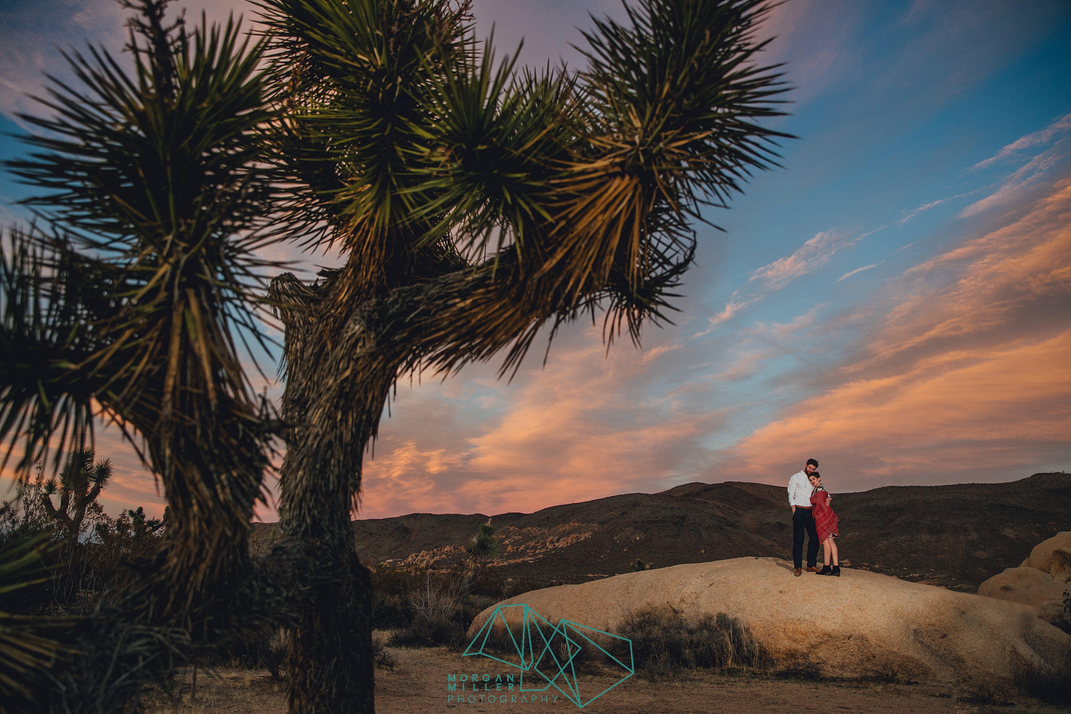 2018-03-26_0049.jpg
