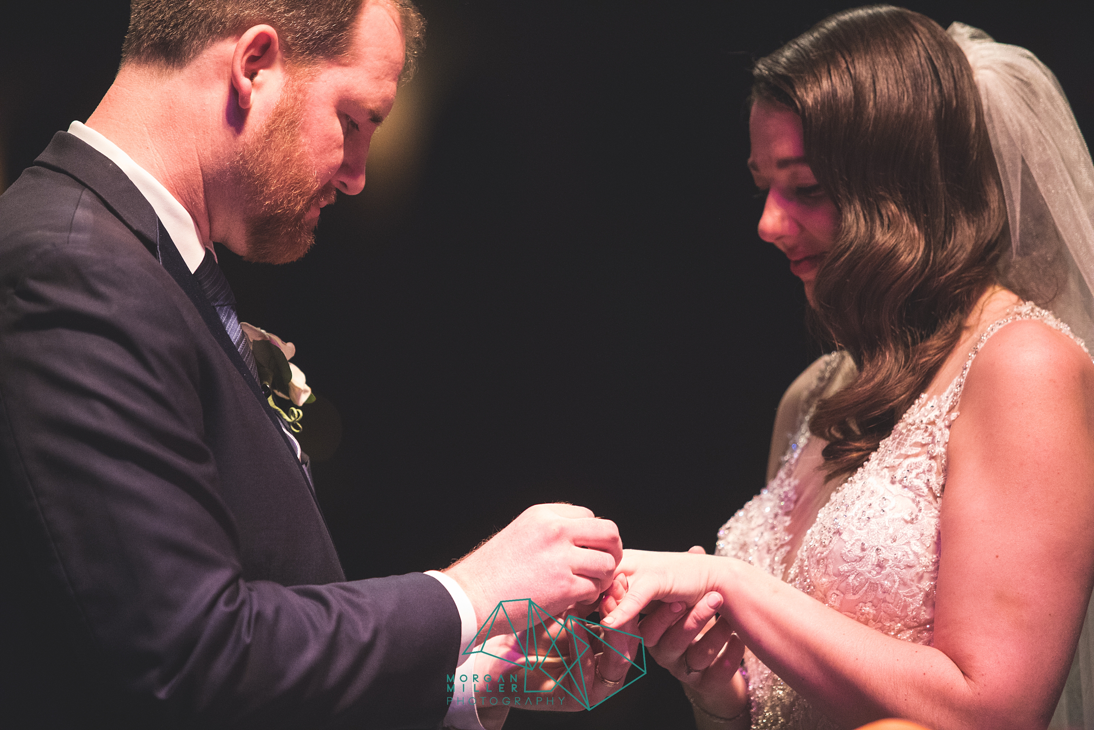 2019-03-08_0089.jpg 2019-03-08_0089.jpg